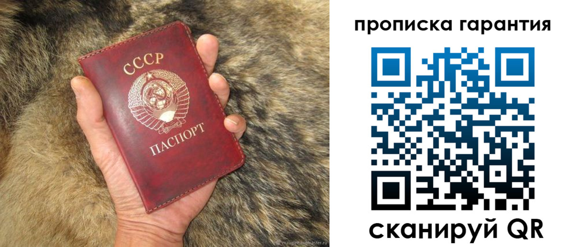 прописка паспорт в Твери
